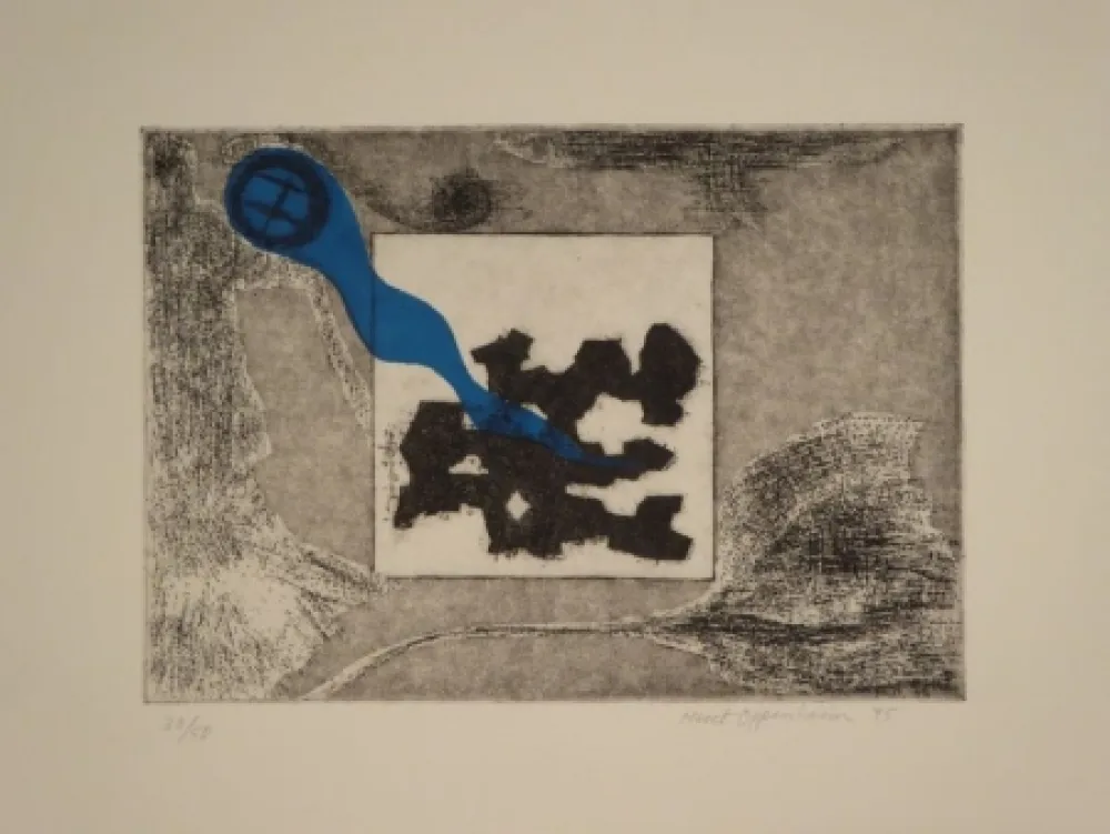 蚀刻版画 Oppenheim - Windhose