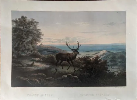 无技术 Orczy - Chasse au cerf / Szarvas vadászat