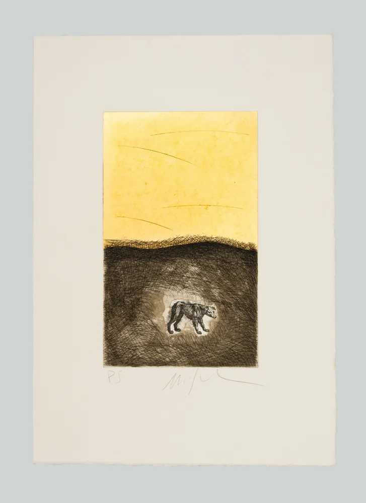 蚀刻飞尘法 Paladino - Cane