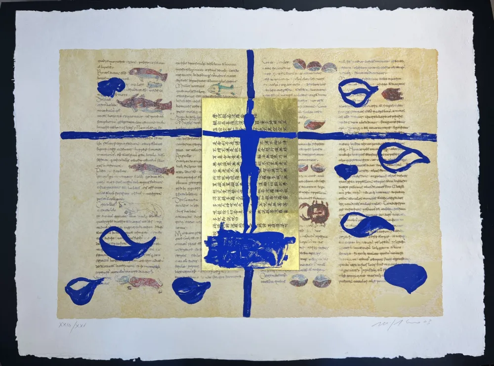 复数作品 Paladino - RABANUS MAURUS - De Universo 6