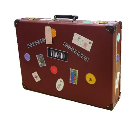 无技术 Paladino - 