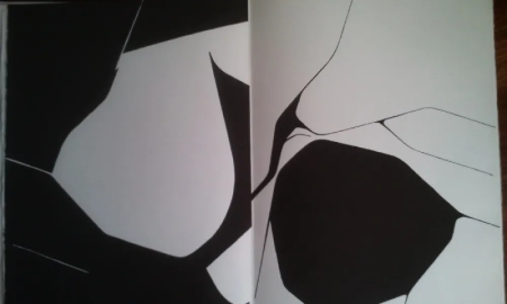 插图书 Palazuelo - DLM 137 LUXE.