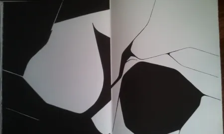 插图书 Palazuelo - DLM 137 LUXE.