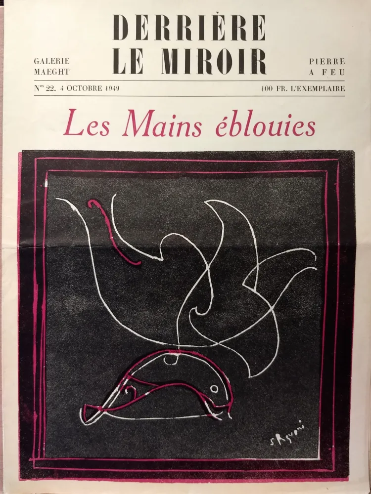 插图书 Palazuelo - Dlm22