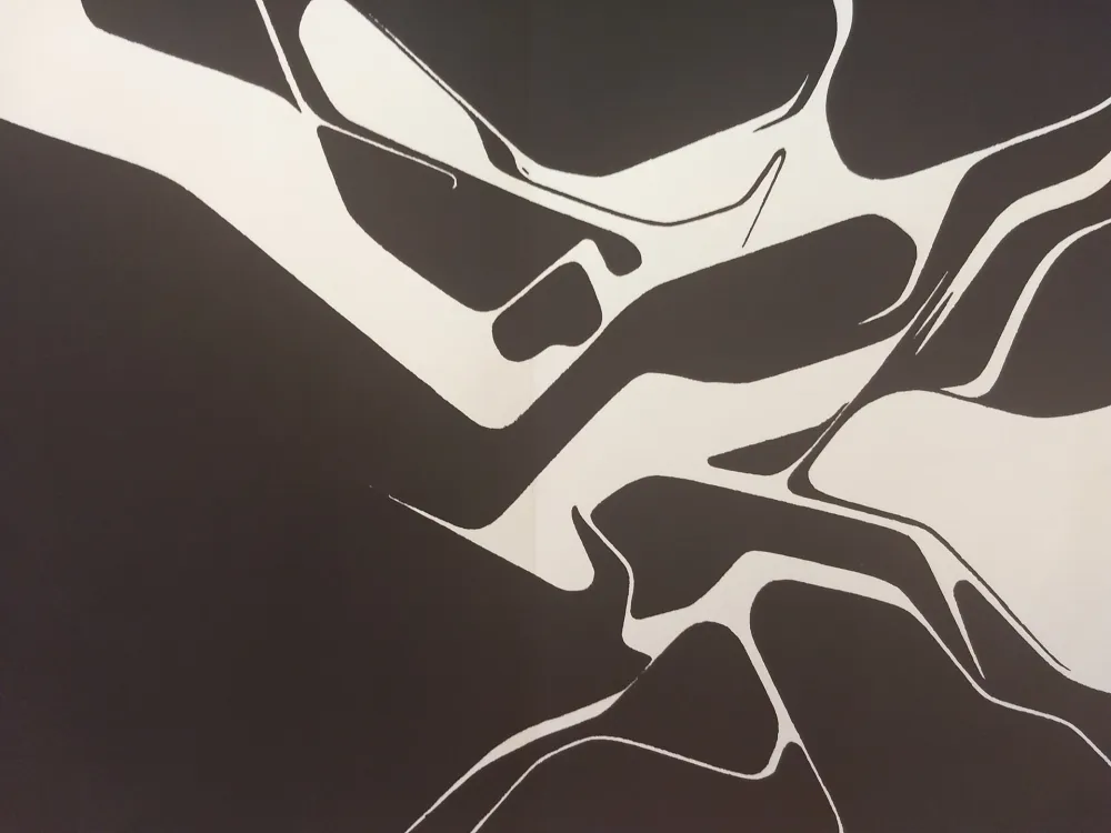 插图书 Palazuelo - Edition Tete DLM 137