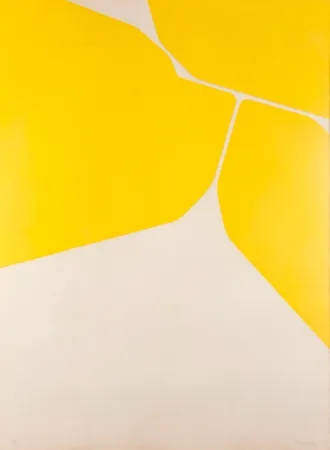 飞尘腐蚀法 Palazuelo - Gótica II