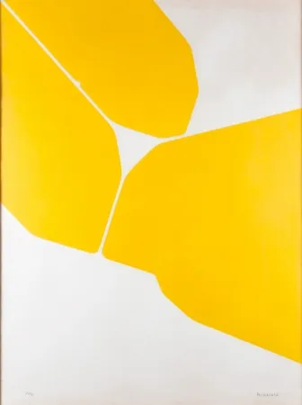 飞尘腐蚀法 Palazuelo - Gótica III