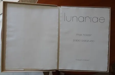 飞尘腐蚀法 Palazuelo - Lunariae