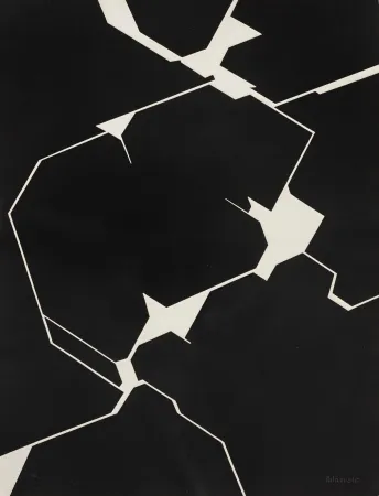 飞尘腐蚀法 Palazuelo - Lunariae I