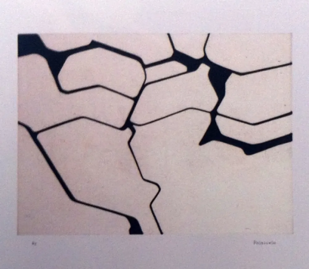 飞尘腐蚀法 Palazuelo - Nemo II