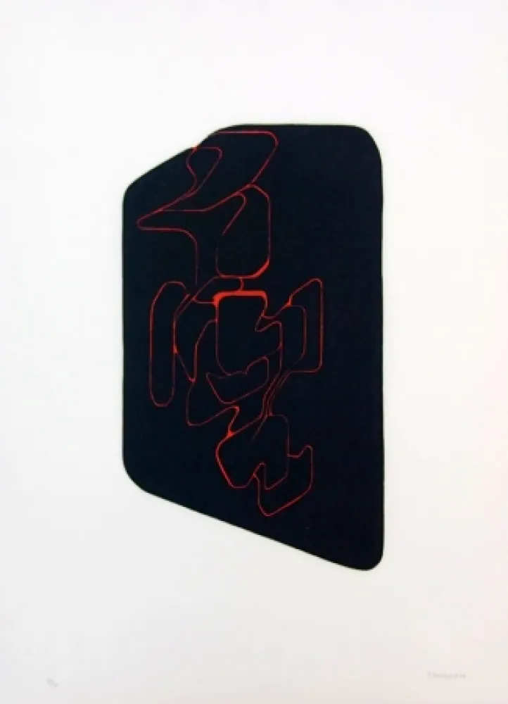 飞尘腐蚀法 Palazuelo - Sceaux IV