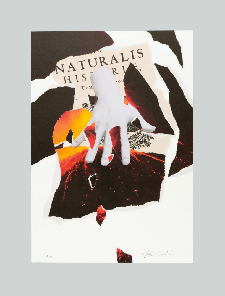 石版画 Paolini - Naturalis historia