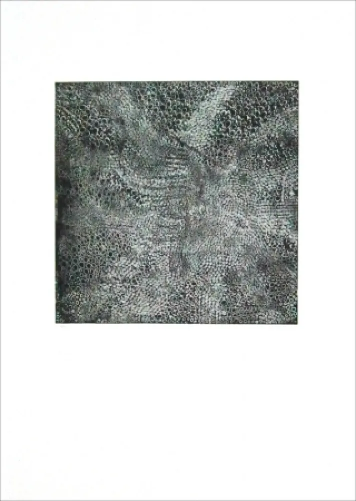 蚀刻版画 Parant - Eboulement pour le ciel