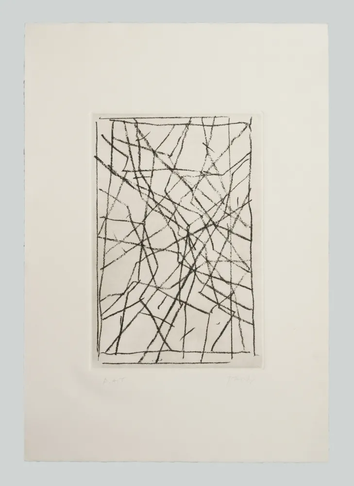 版画 Pardi - Tiranti