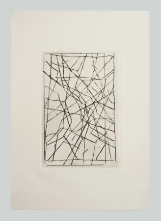 版画 Pardi - Tiranti