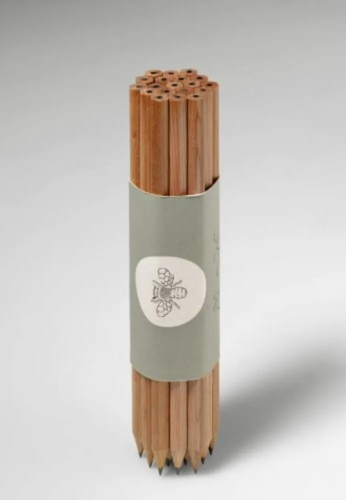 复数作品 Paris - Lápices de dibujo