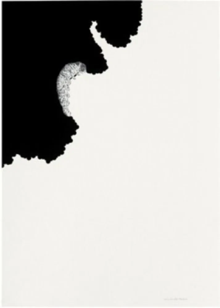 石版画 Paris - Oruga