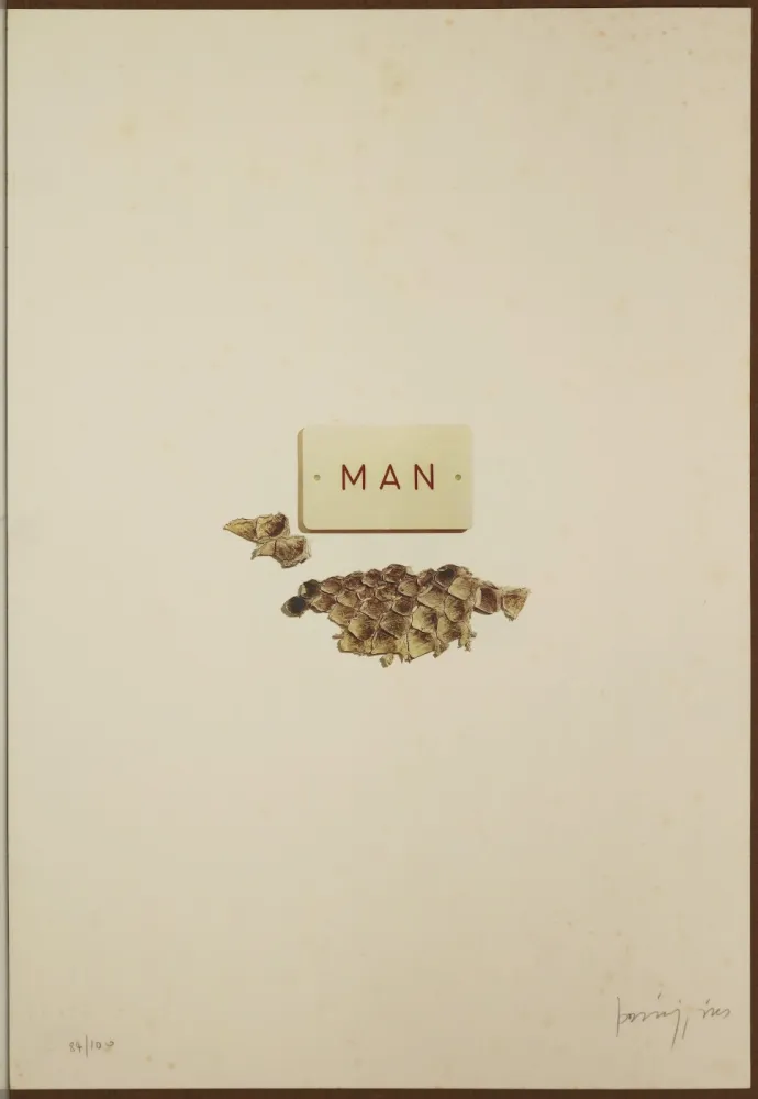 石版画 Parmiggiani - Senza titolo