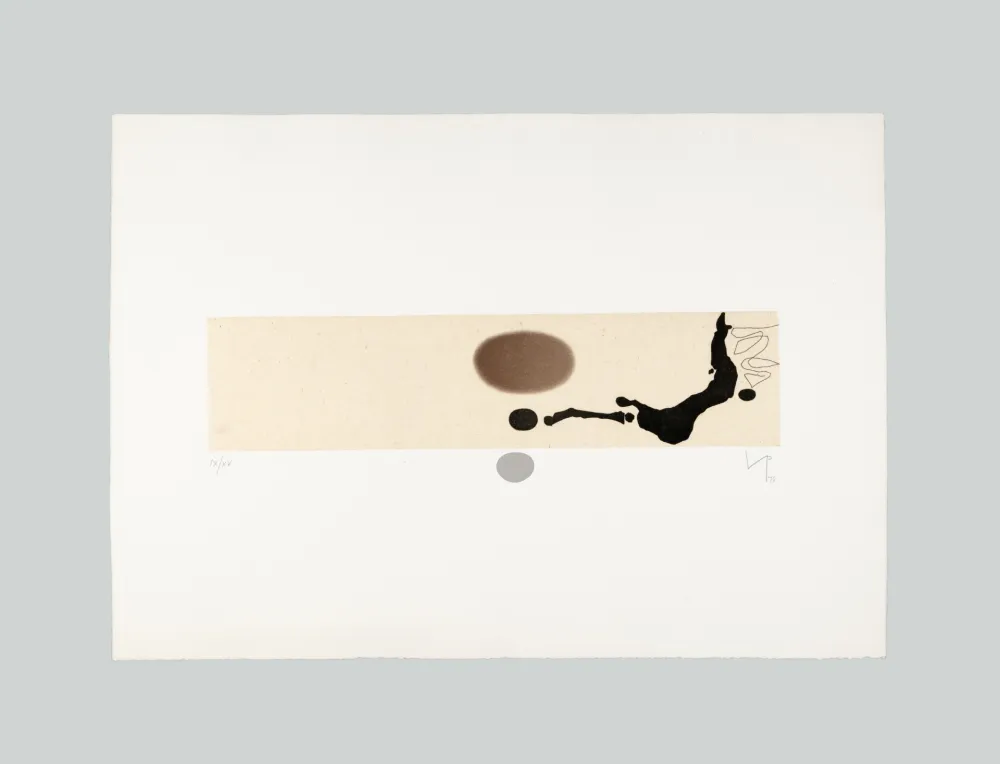 飞尘腐蚀法 Pasmore - Immagine grafica