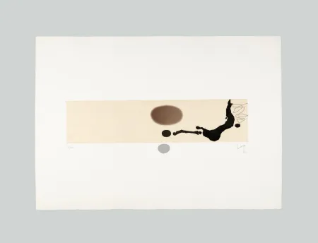 飞尘腐蚀法 Pasmore - Immagine grafica