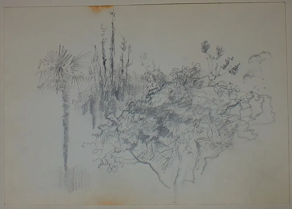 无技术 Pastor - Etude