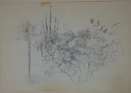 无技术 Pastor - Etude