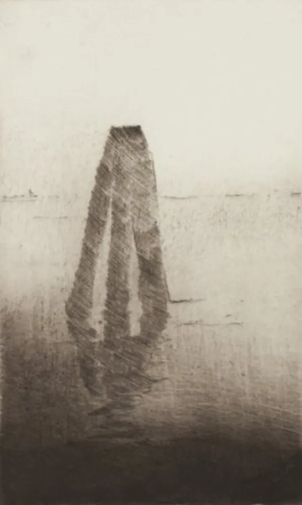 复数作品 Paul P - Boia