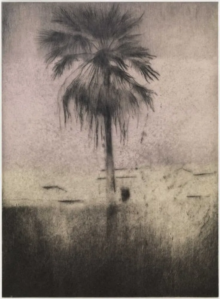 干刻版画 Paul P - Palmera