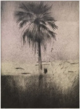 干刻版画 Paul P - Palmera
