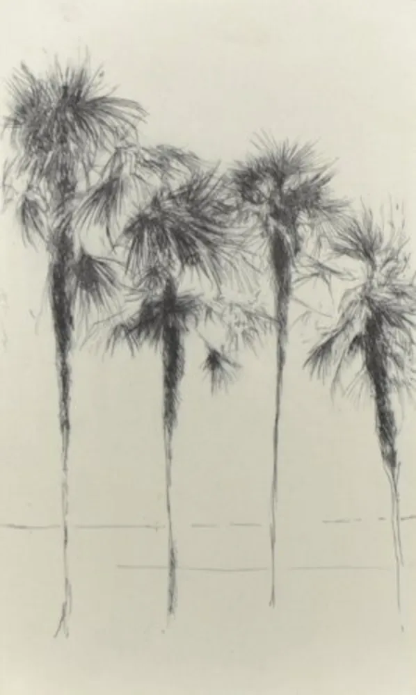 复数作品 Paul P - Palmeres