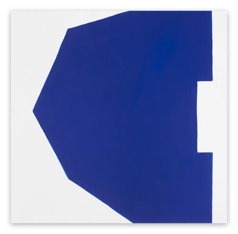 无技术 Pedersen - Cut-Up Paper II.8