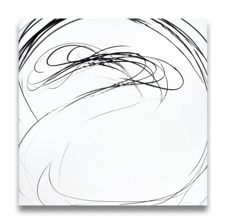 无技术 Peerna - Maelstrom Series 67