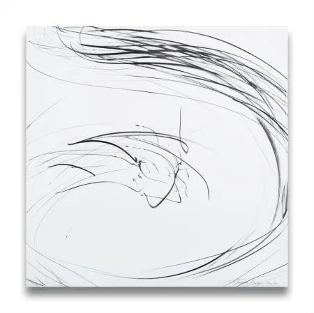 无技术 Peerna - Small maelstrom (Ref 855) 