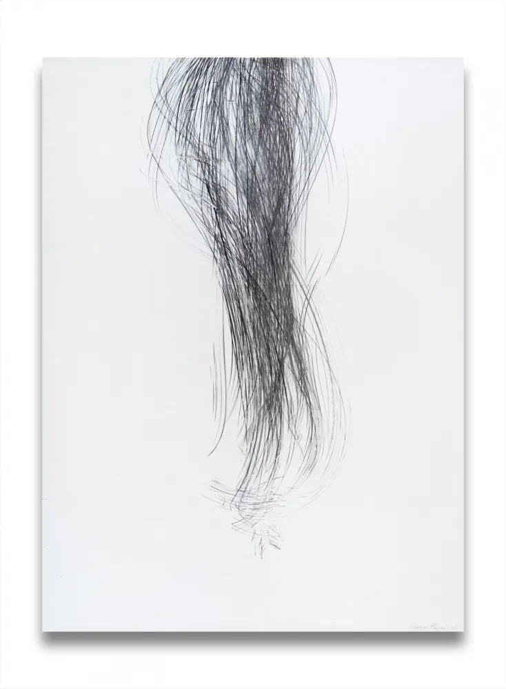 无技术 Peerna - Spill (ref 857)