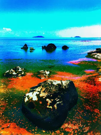 无技术 Pellarose - Pacific Orange Rocks