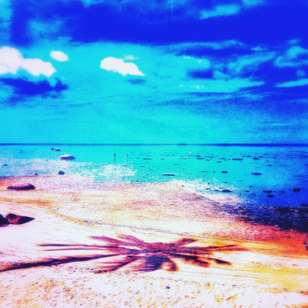 无技术 Pellarose - Pacific Palms