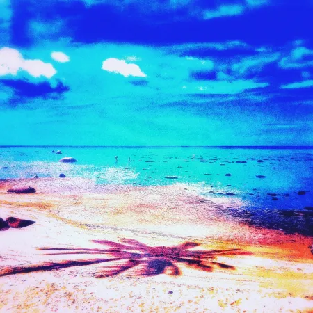 无技术 Pellarose - Pacific Palms