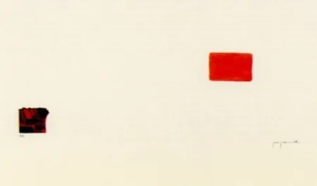 石版画 Perejaume - El bosc a casa-3