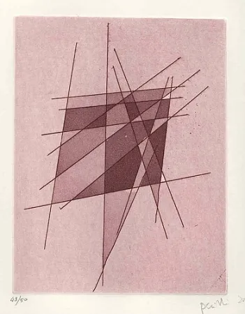 插图书 Perilli - Sylvatica