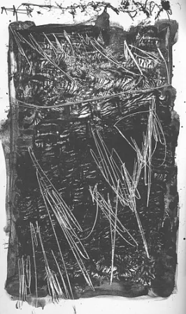 插图书 Perilli - Theatrum Sanitatis