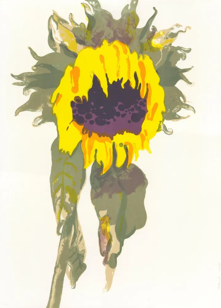 石版画 Pétrovitch - Soleil