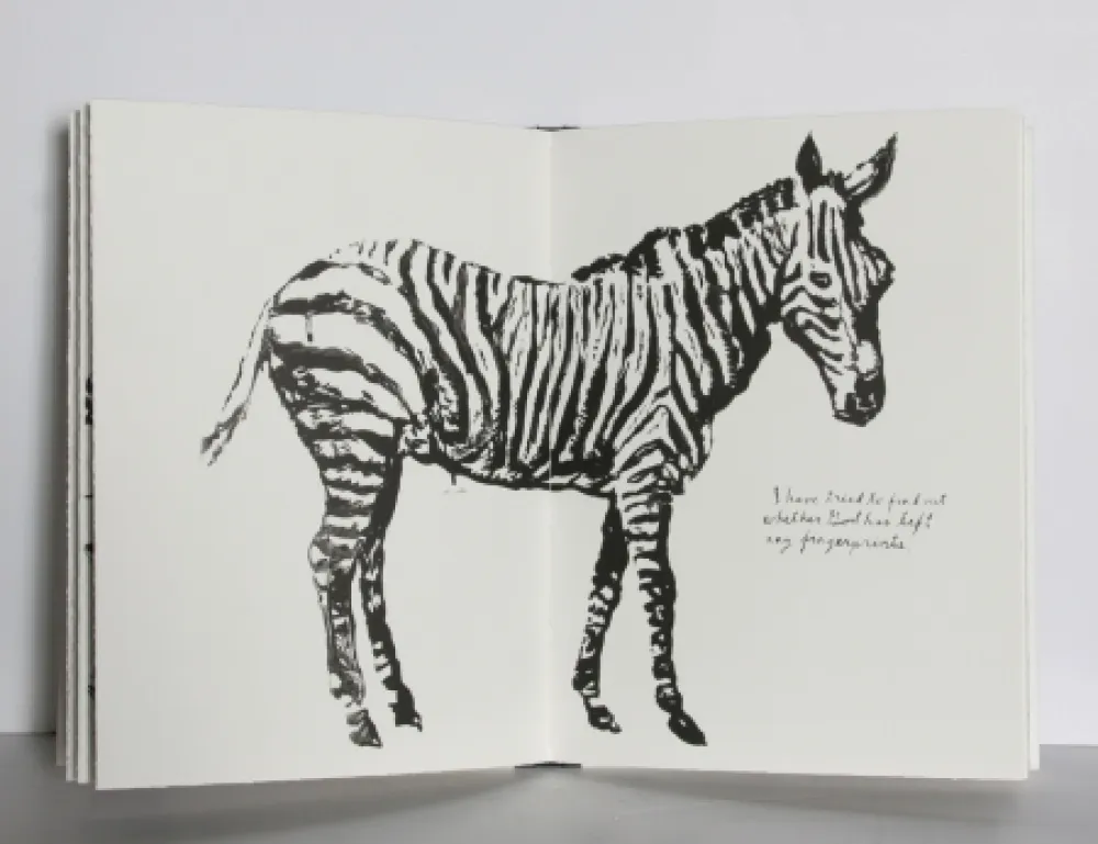 插图书 Pettibon - Plots on Loan