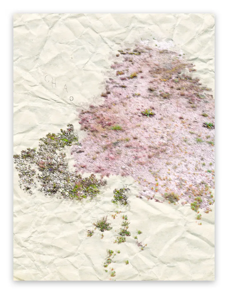 摄影 Pezzot - I. Anthropological Purity