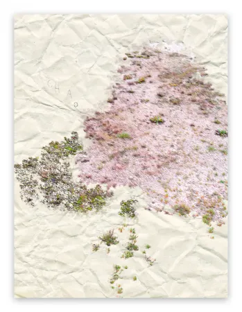 摄影 Pezzot - I. Anthropological Purity