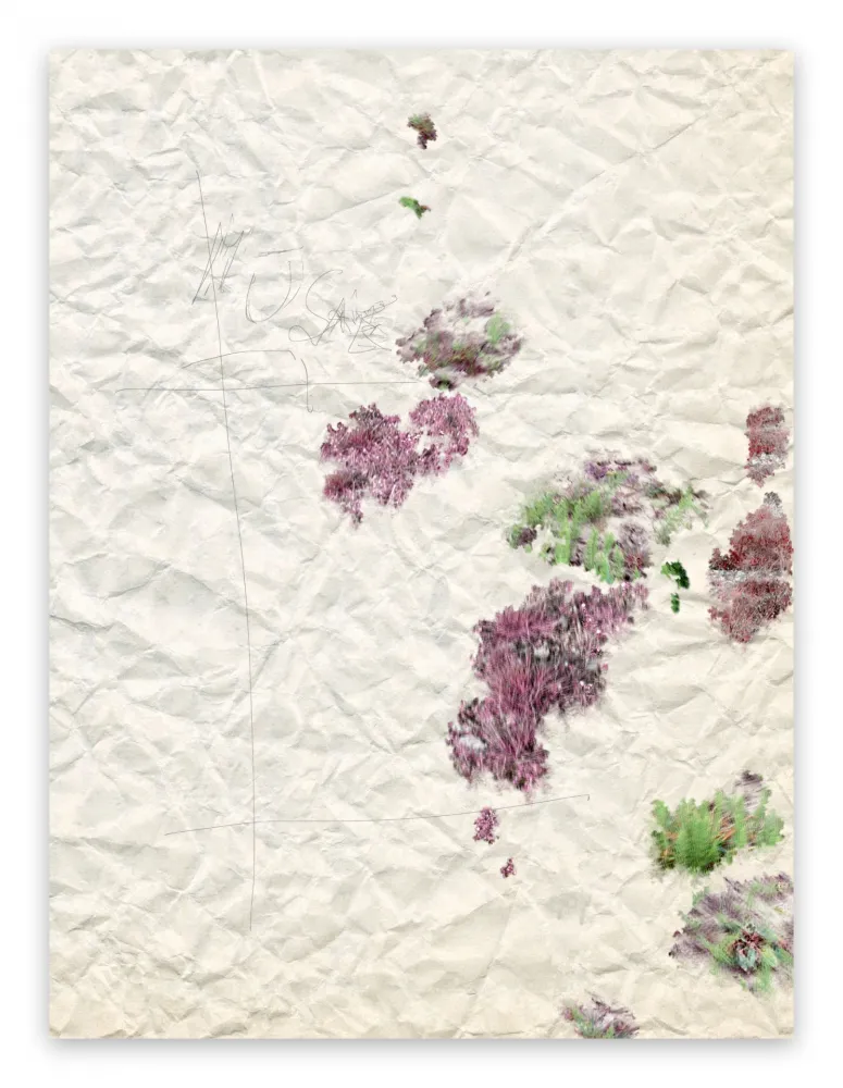 摄影 Pezzot - II. Marvellous Unconsciousness