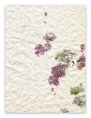 摄影 Pezzot - II. Marvellous Unconsciousness