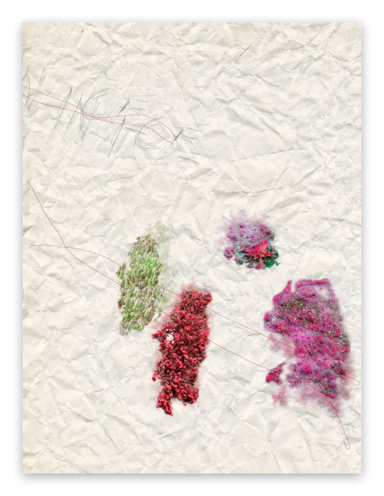 摄影 Pezzot - IV. Nice