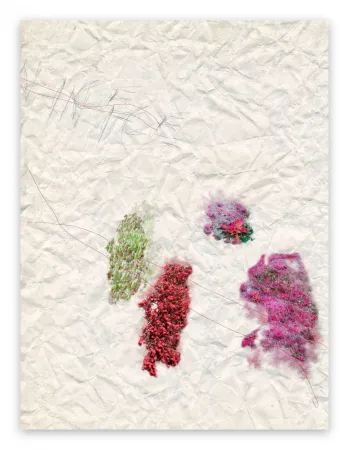 摄影 Pezzot - IV. Nice