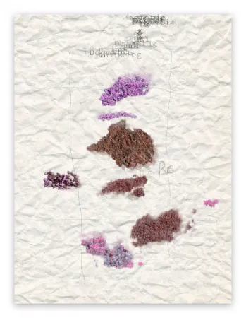 摄影 Pezzot - V. Dogmatic Thinking