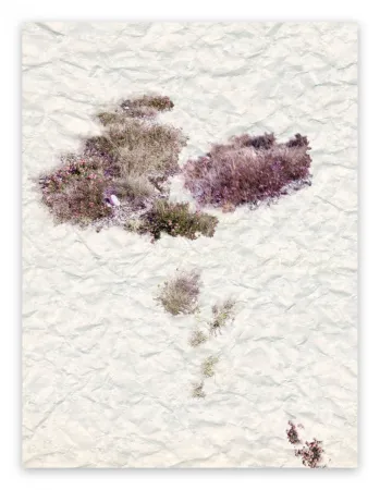 摄影 Pezzot - VIII: The Unselfconsciousness Of Eros